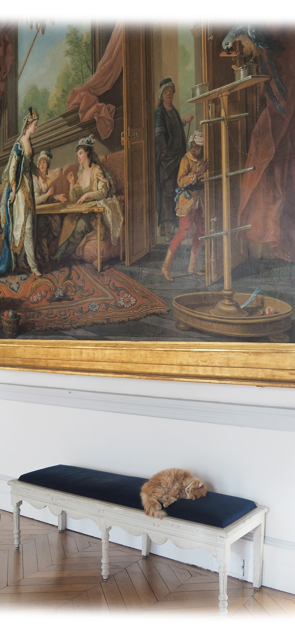 Chat sur une banquette sous un tableau du musée des Beaux-arts de Nice