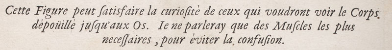 "Cette figure peut satisfaire la curiosité de ceux qui voudront voir le corps dépouillé jusqu'aux os. Je ne parlerai que des muscles les plus nécessaires, pour éviter la confusion."