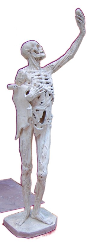 Transi du tombeau de René de Châlons (1519-1544), dite Le Squelette, sculpté par Ligier Richier - copie de la Cité de l'architecture et du Patrimoine